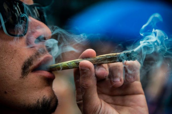 maconha